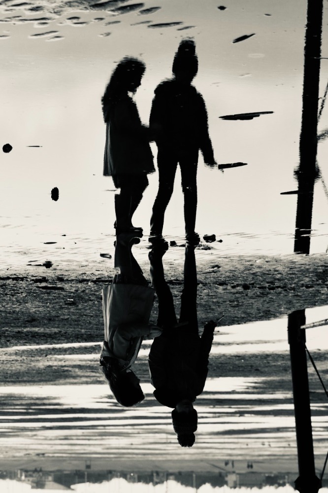 July - Upside Down Upside Down - 2nd place, RSPB Marshside. Canon EOS M50